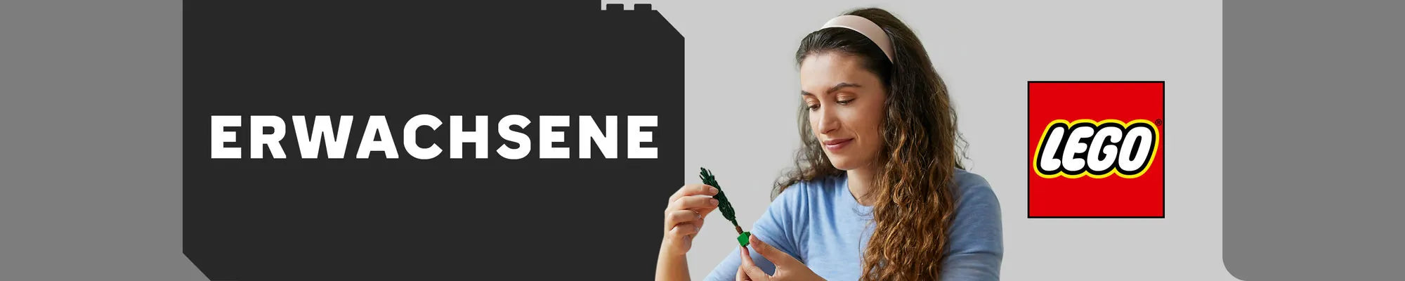 LEGO® Sets für Erwachsene banner