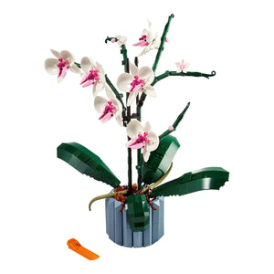 LEGO® 10311 Orchidee aufgebaut