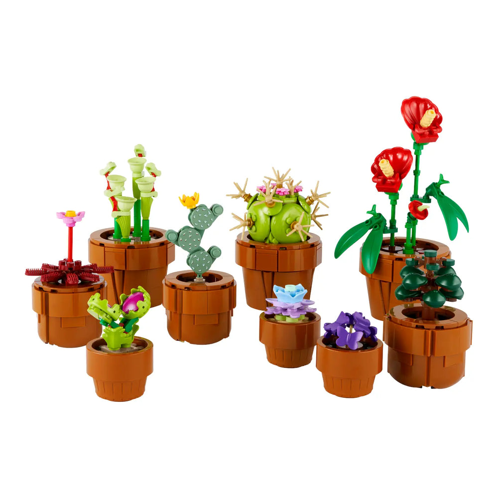 LEGO® Botanicals 10329 Mini Pflanzen Vorderseite Verpackung