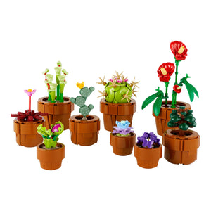 LEGO® Botanicals 10329 Mini Pflanzen aufgebaut