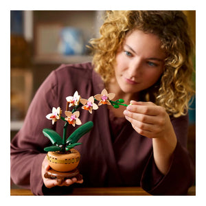 LEGO® Botanicals 10343 Mini-Orchidee für Erwachsene