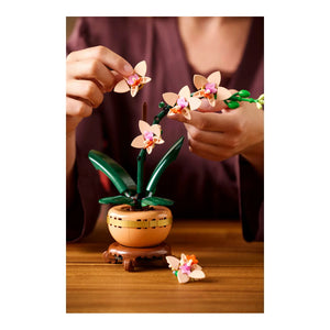 LEGO® Botanicals 10343 Mini-Orchidee zusammenbauen