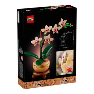 LEGO® Botanicals 10343 Mini-Orchidee Verpackung Rückseite