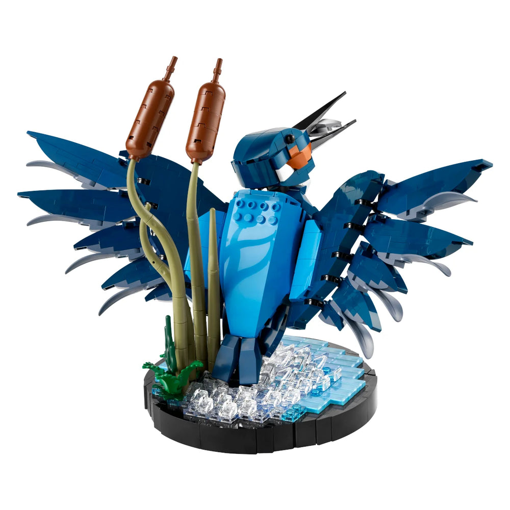 LEGO® Icons 10331 Kingfisher Bird OVP Vorderseite