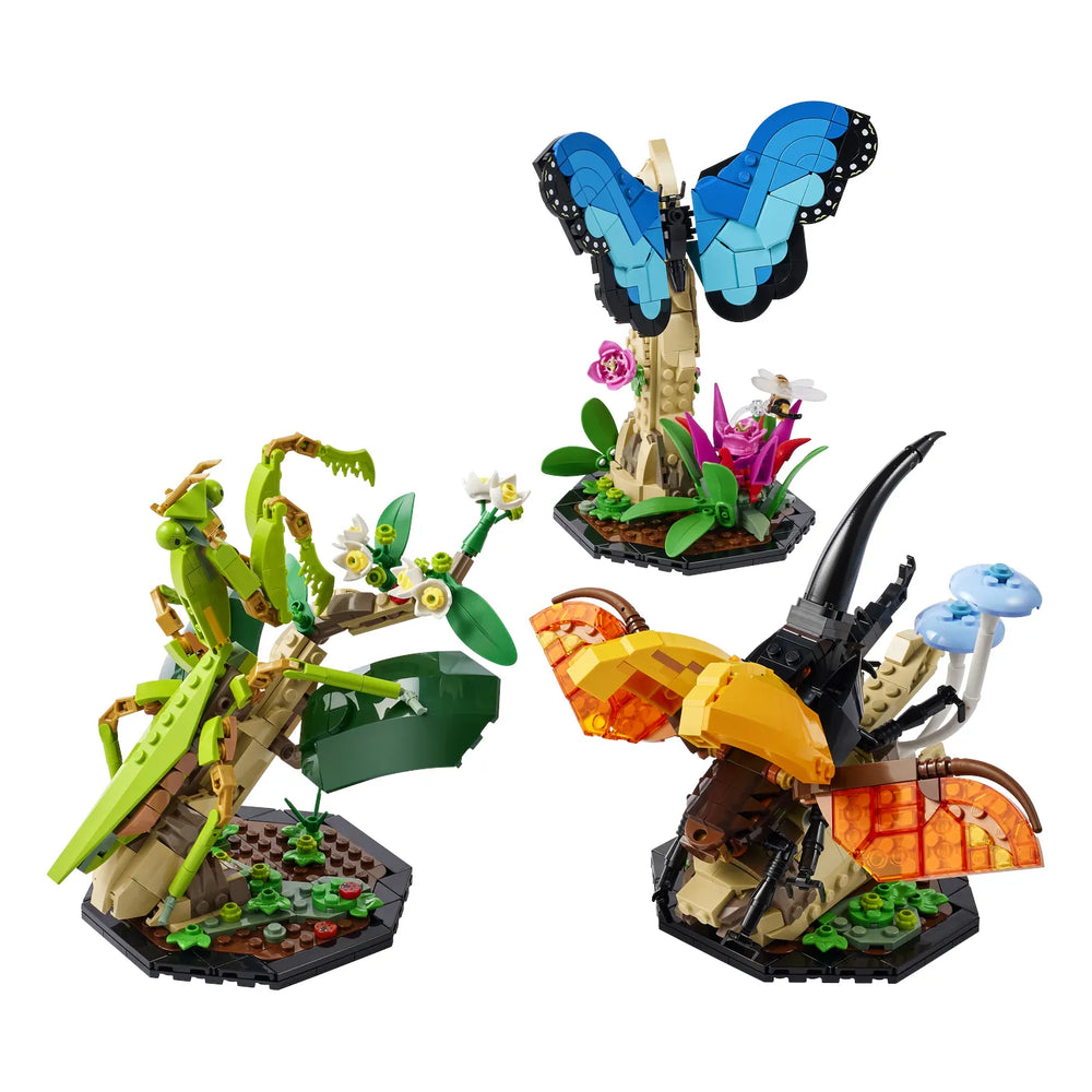 LEGO® Ideas 21342 Die Insektensammlung Verpackung Vorderseite