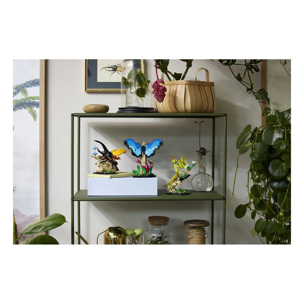 LEGO® Ideas 21342 Die Insektensammlung als Dekoration