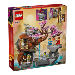 LEGO® NINJAGO® 71819 Drachenstein-Tempel Verpackung Rückseite