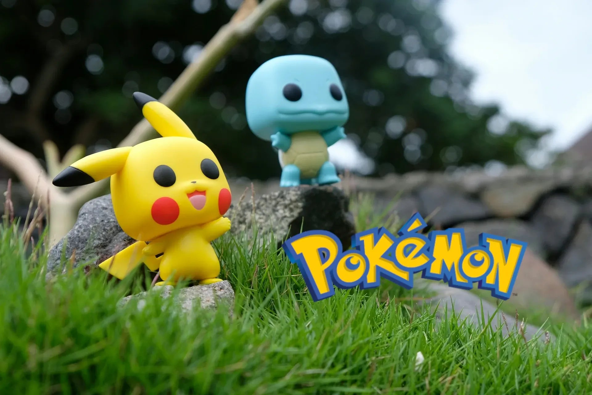 Pokemon Homescreen Navigation